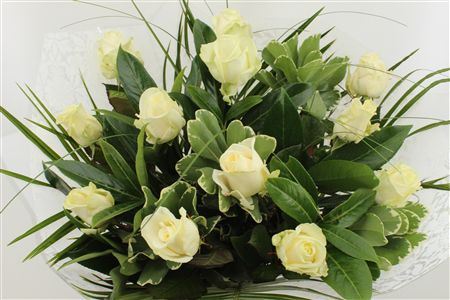 Bouquet with a dozen White Roses